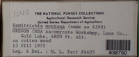 Image Associated With the Occurence